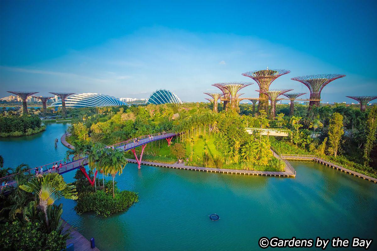 garden by the bay Singapore