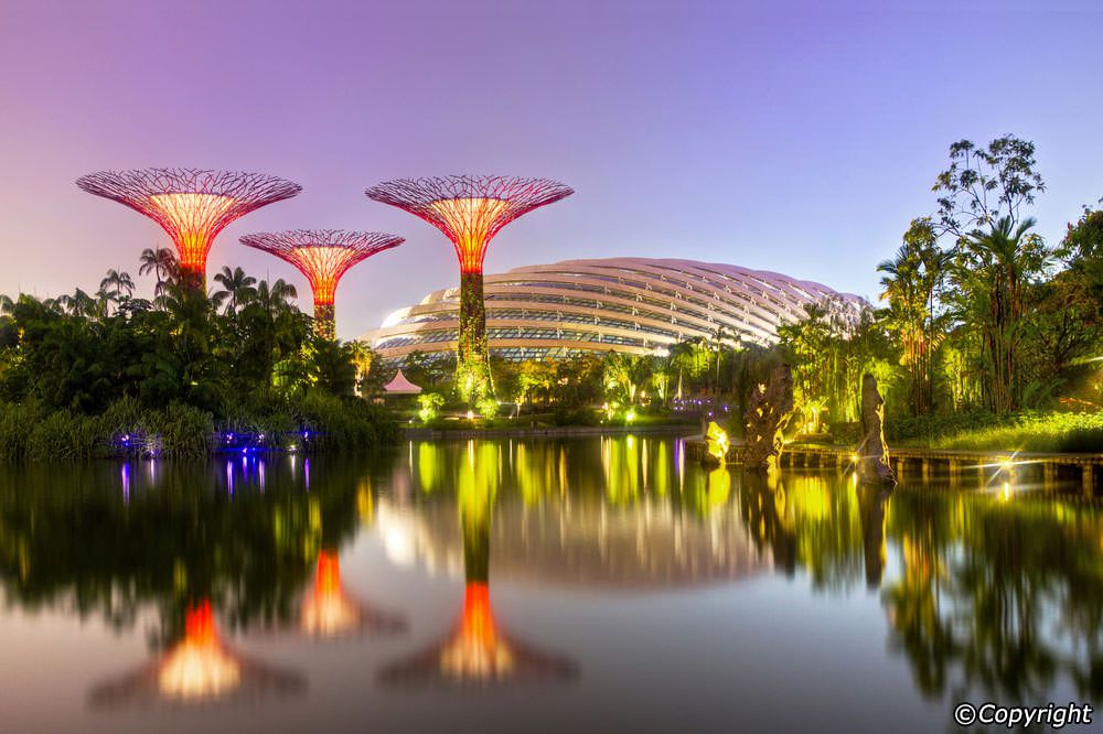 cây khổng lồ ở Singapore