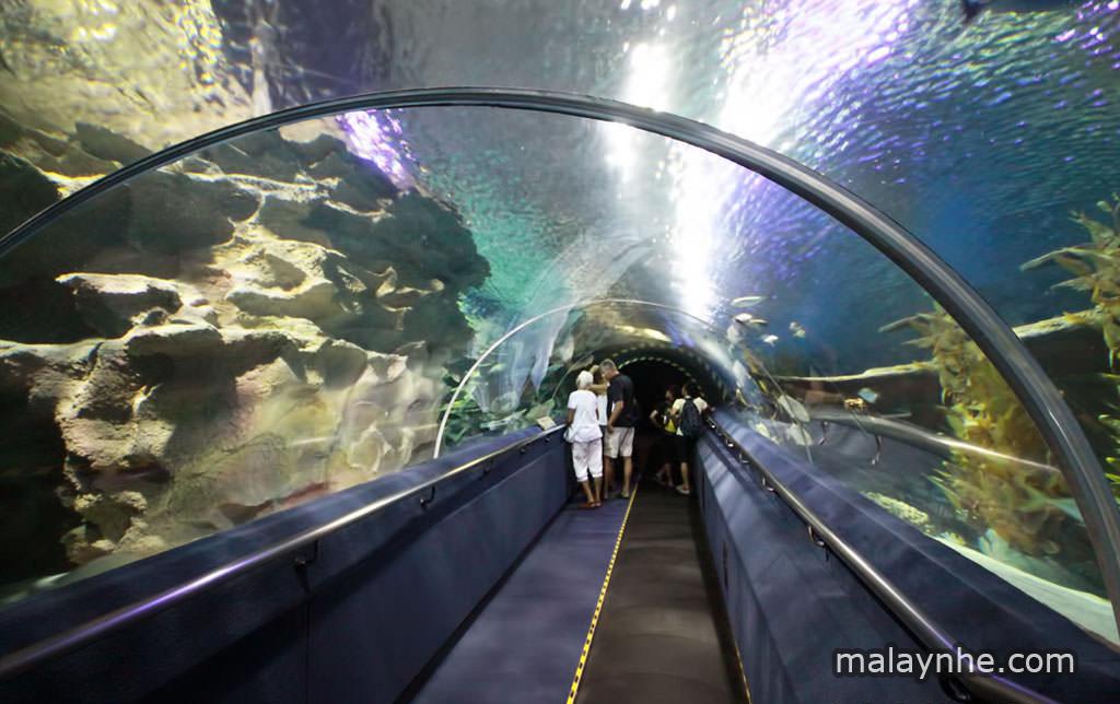 Thủy cung Aquaria ở Kuala Lumpur - Ảnh 11