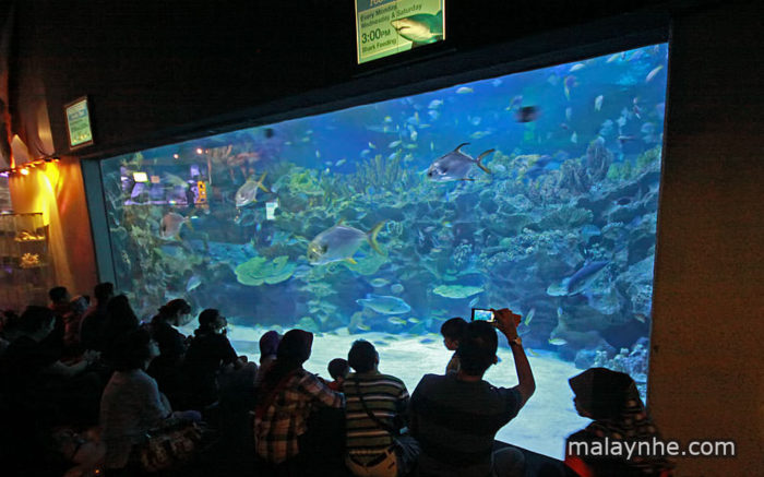 Thủy cung Aquaria ở Kuala Lumpur - Ảnh 3