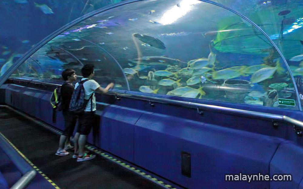 Thủy cung Aquaria ở Kuala Lumpur - Ảnh 6