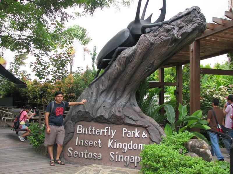 Xem bướm và công trùng tại Butterfly Park & Insect Kingdom Sentosa