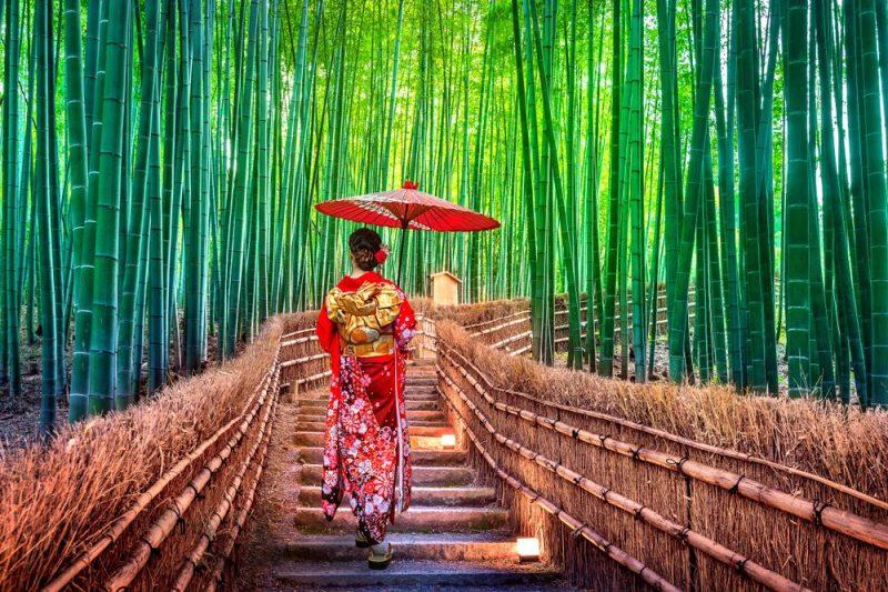 Rừng tre ở đền Arashiyama