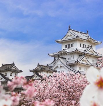 Lâu đài Himeji bên hoa anh đào