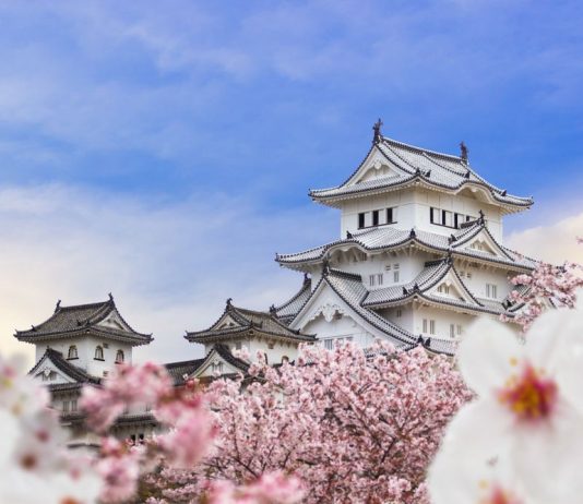 Lâu đài Himeji bên hoa anh đào