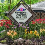 National Orchid Garden - Vườn Lan Quốc Gia Singapore