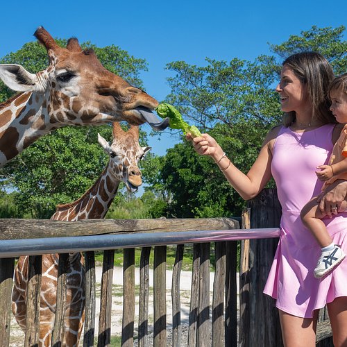 Top 9 điểm ăn chơi về đêm tuyệt nhất ở Civic District Singapore