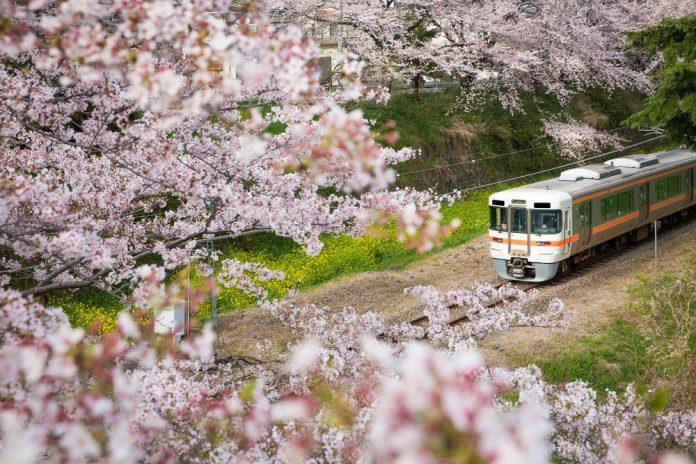 Mùa xuân ở Nhật Bản
