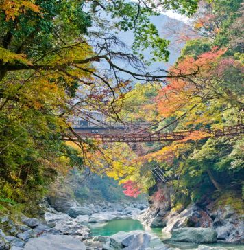 Cầu Kazurabashi, thung lũng Iya, Tokushima, Shikoku, Japan