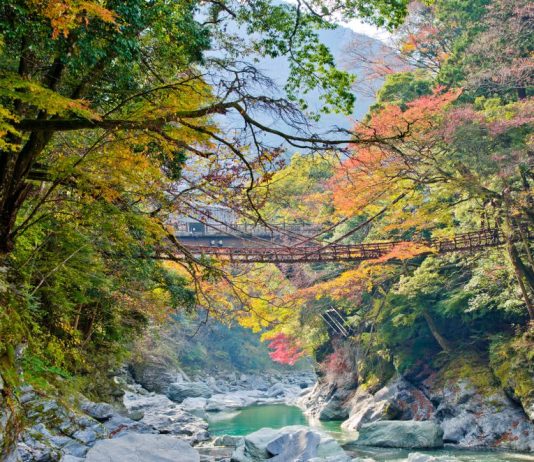 Cầu Kazurabashi, thung lũng Iya, Tokushima, Shikoku, Japan