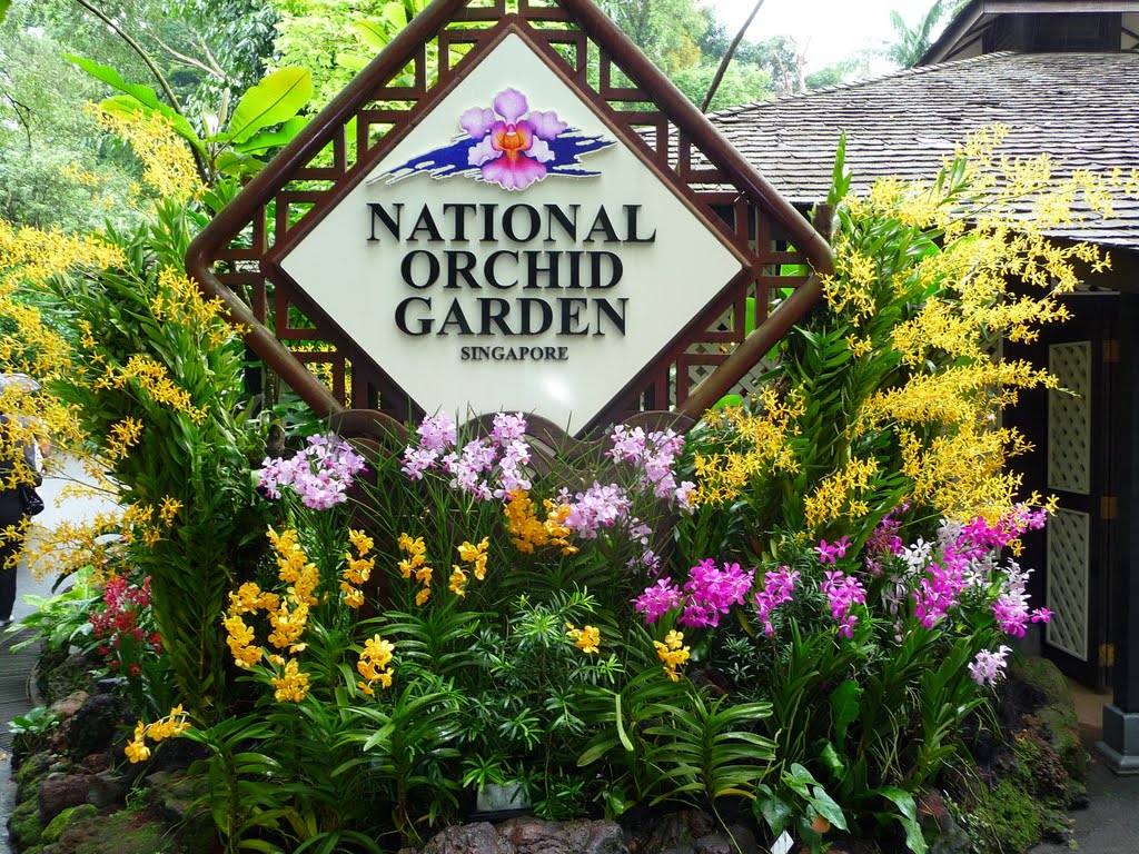National Orchid Garden - Vườn Lan Quốc Gia Singapore