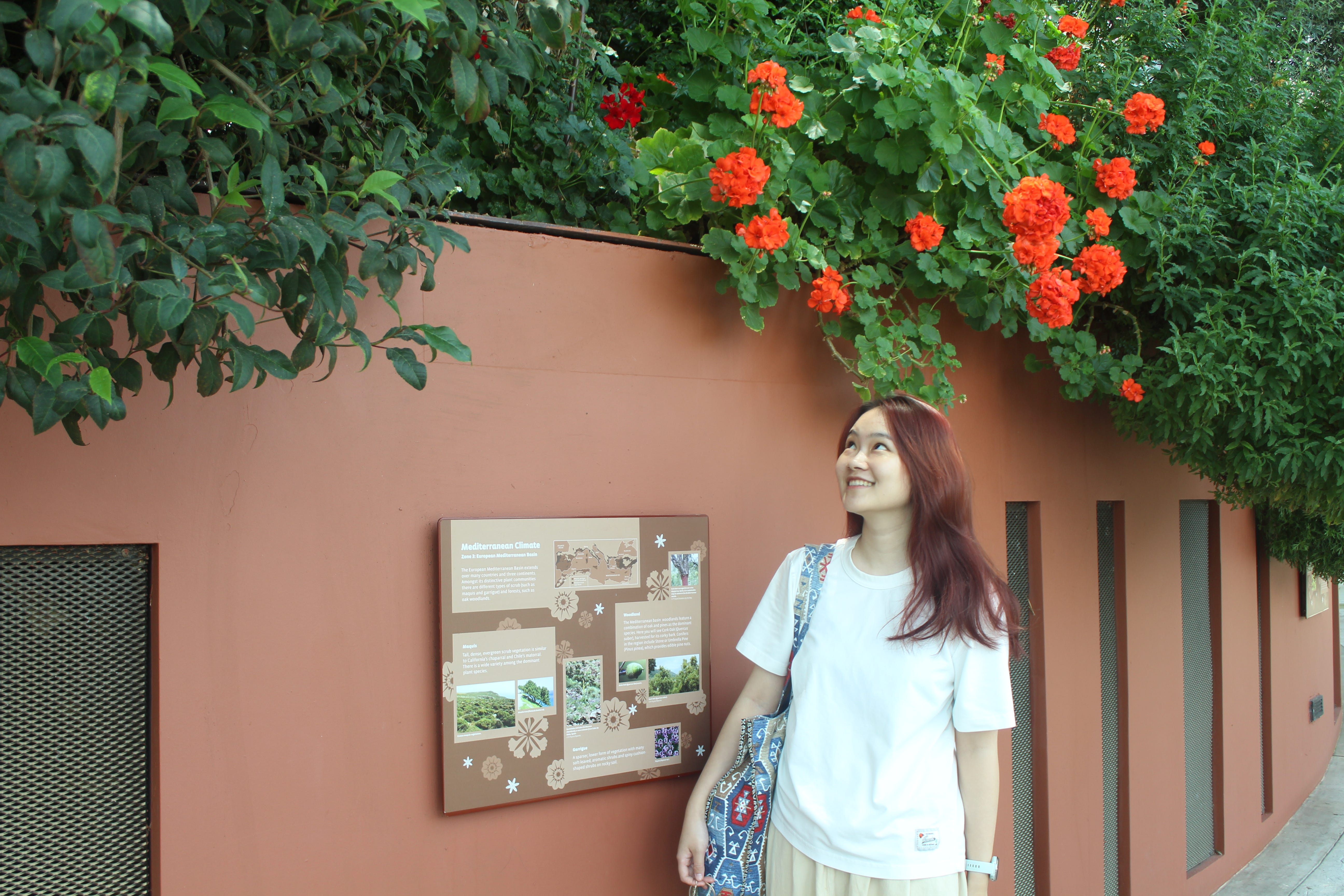 10 mẹo tiết kiệm chi phí khi du lịch tại Singapore