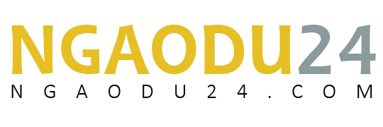 Ngaodu24.com Logo