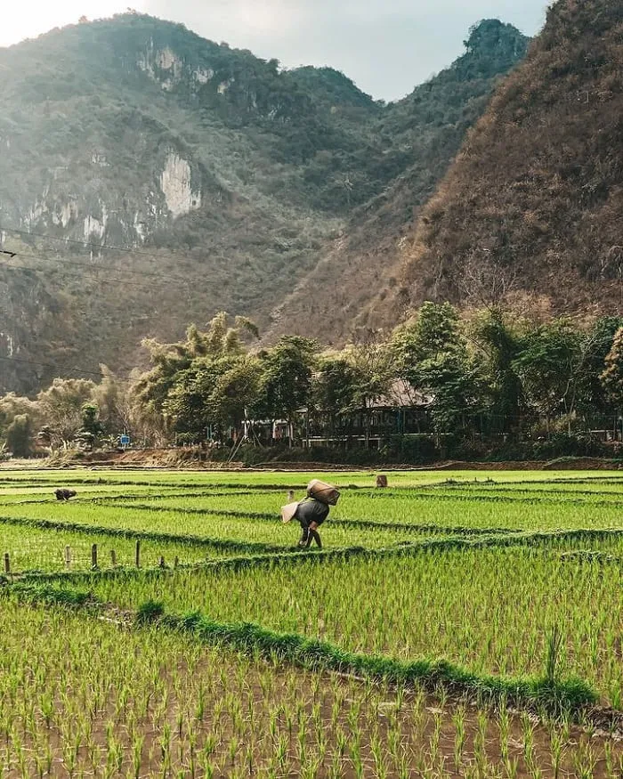 Nhà sàn truyền thống tại Bản Lác, nơi lưu trú lý tưởng cho chuyến du lịch cộng đồng tự túc tại Hòa Bình.