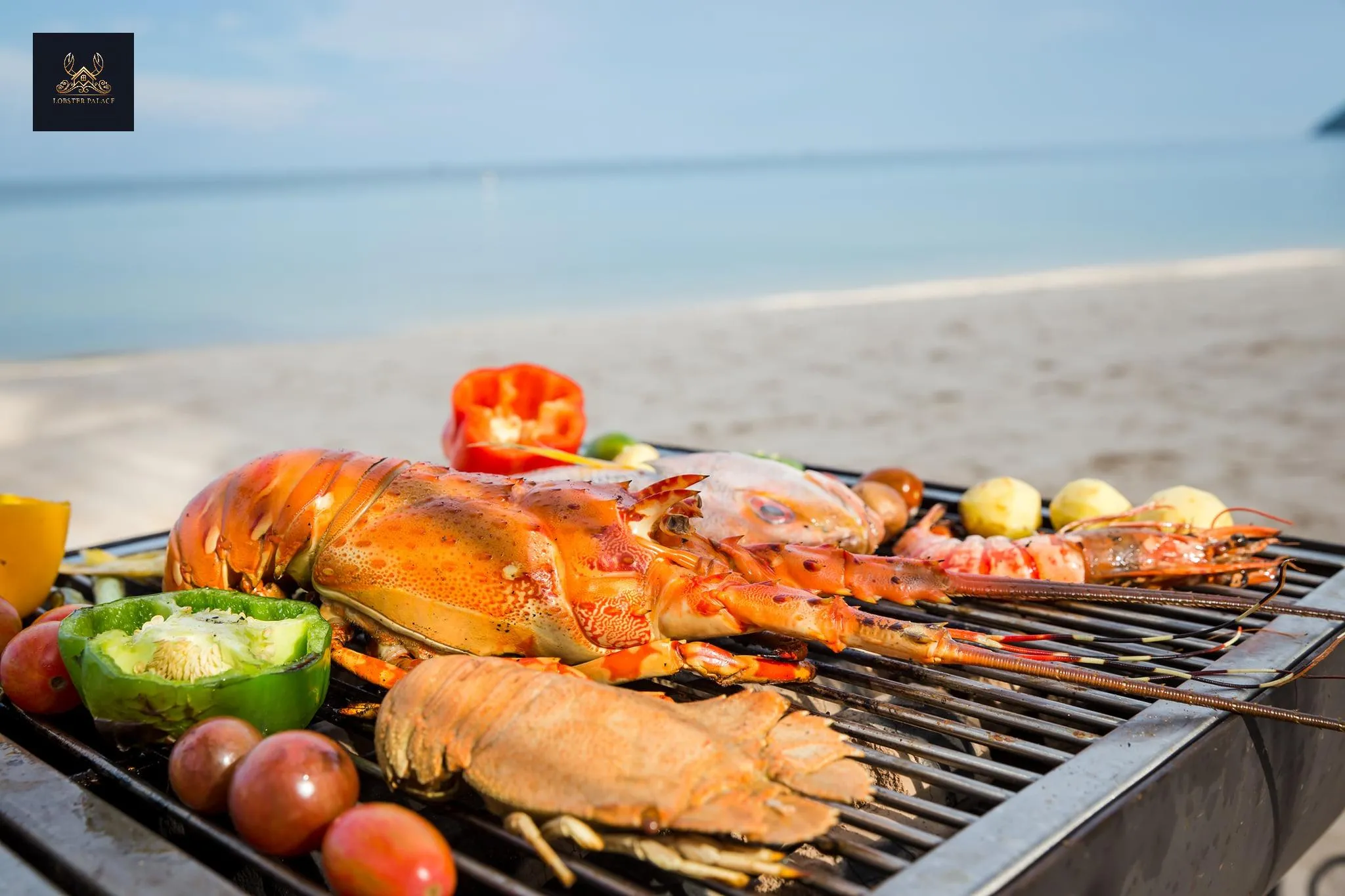 Thưởng thức tôm hùm và hải sản tươi ngon đặc trưng của đảo Bình Ba tự túc