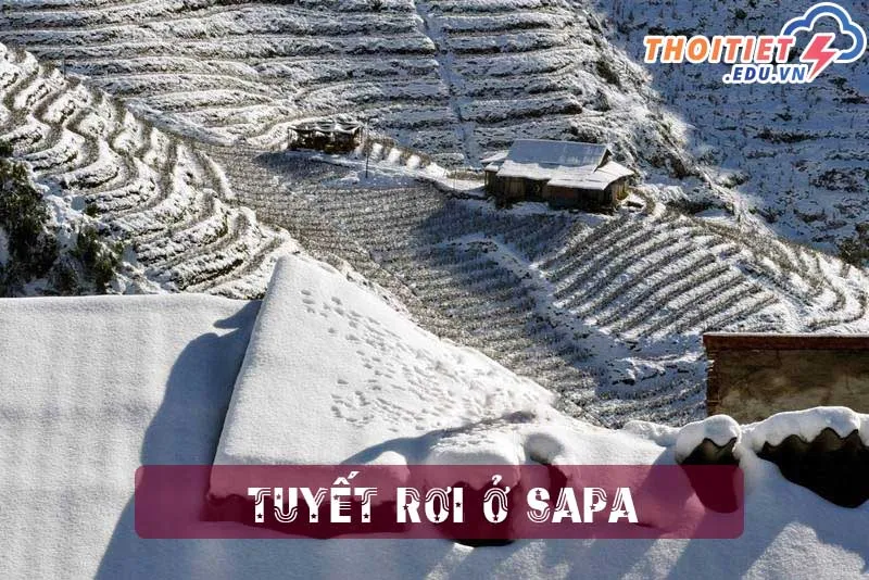 Cảnh tuyết trắng xóa phủ trên cây cối ở Sapa, minh chứng cho vị trí địa lý đặc biệt