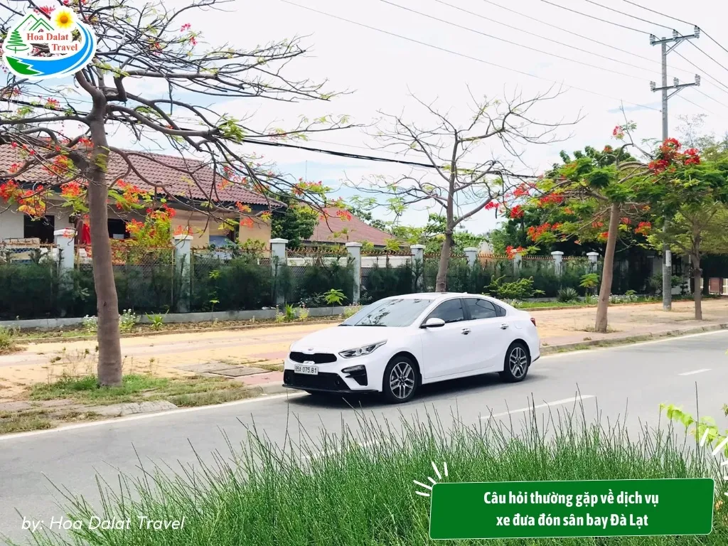 Câu hỏi thường gặp về dịch vụ xe đưa đón sân bay Đà Lạt