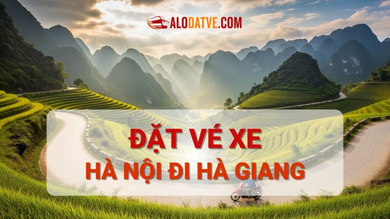 Xe Giường Nằm Nha Trang Hà Nội: Cẩm Nang Đặt Vé Và Trải Nghiệm