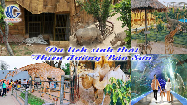 Taxi Quế Võ Bắc Ninh: Dịch Vụ Đón Tiễn Nội Bài Giá Rẻ & Cẩm Nang Khám Phá Địa Phương Chuyên Sâu Taxi Quế Võ Bắc Ninh: Dịch Vụ Đón Tiễn Nội Bài Giá Rẻ & Cẩm Nang Khám Phá Địa Phương Chuyên Sâu