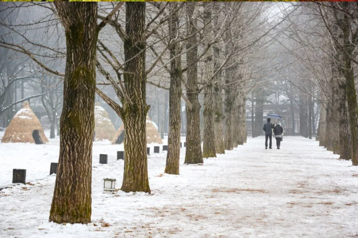 Khung cảnh tuyết rơi lãng mạn và tuyệt đẹp khi đi hàn tự túc vào mùa đông