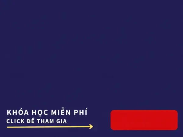 Minh họa giải phẫu chi tiết hình ảnh quả tim người với các buồng tim và mạch máu