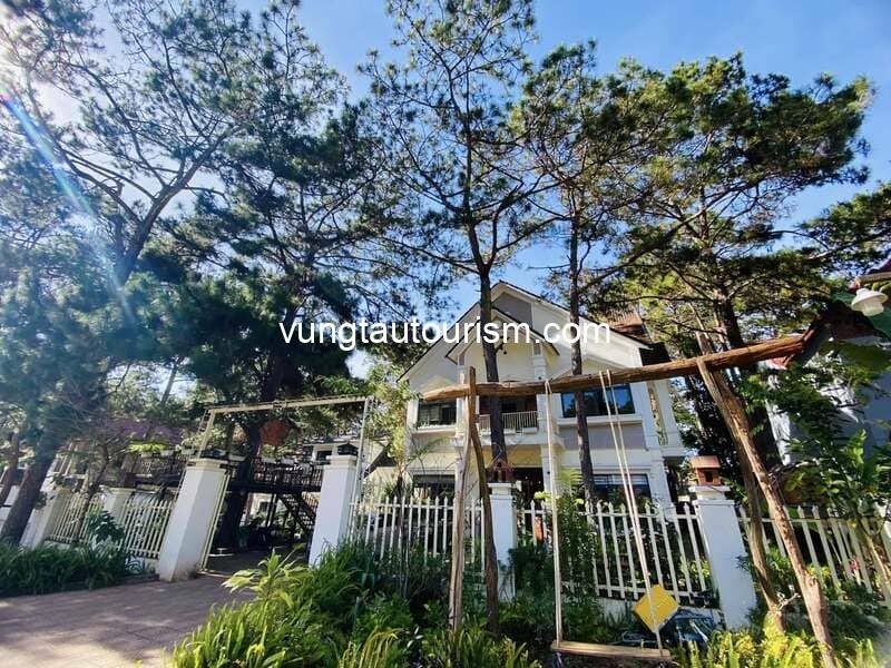 Homestay Măng Đen Kon Tum: Top Lựa Chọn Đáng Giá Cho Trải Nghiệm Nghỉ Dưỡng Hoàn Hảo