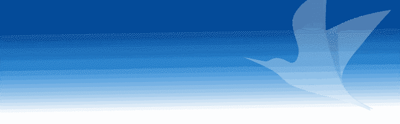 Red House Homestay Hội An: Hướng Dẫn Chi Tiết Cho Trải Nghiệm Nghỉ Dưỡng Hoàn Hảo