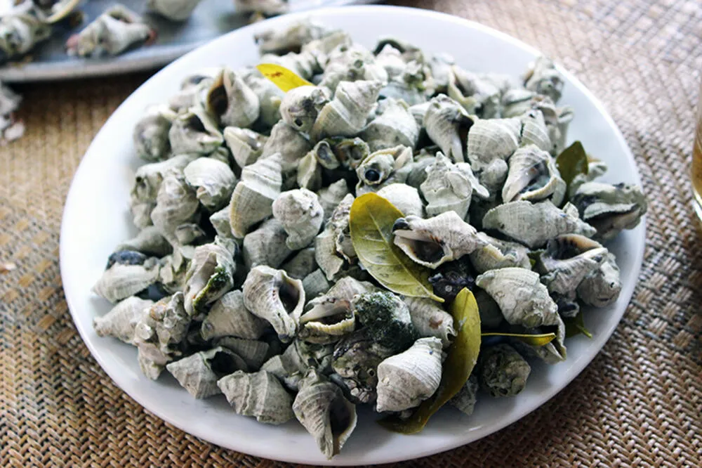 Các loại ốc luộc chấm mắm gừng, món ăn đường phố Quy Nhơn