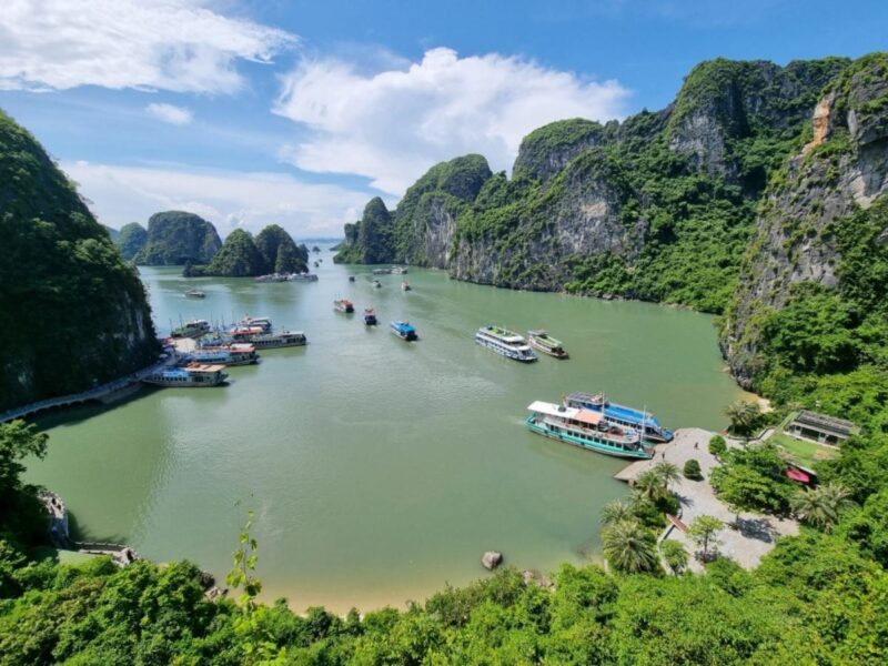 Vé Tàu Sông Sài Gòn: Hướng Dẫn Chi Tiết Giá Vé, Lịch Trình & Kinh Nghiệm Du Ngoạn 6 Vé Tàu Sông Sài Gòn: Hướng Dẫn Chi Tiết Giá Vé, Lịch Trình & Kinh Nghiệm Du Ngoạn