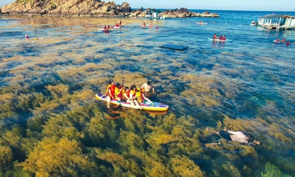 Du khách chèo thuyền kayak trên biển Quy Nhơn