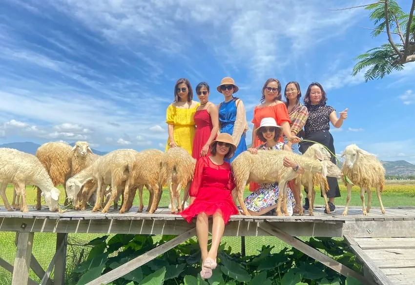 Check in với cây cầu gỗ ở Đồng Cừu, một góc chụp ảnh nghệ thuật