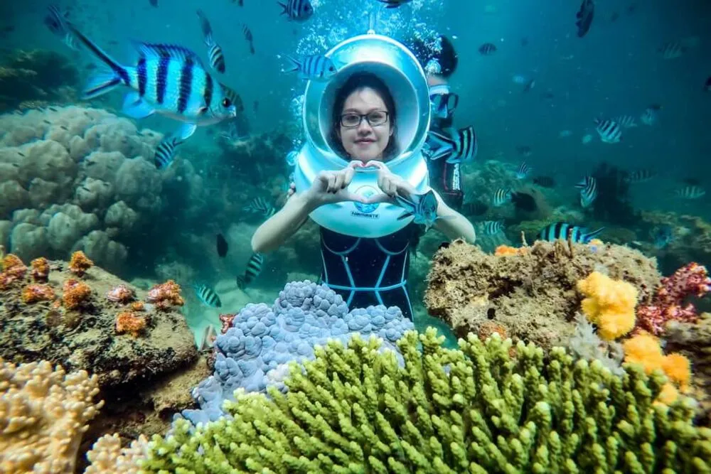 Du khách lặn ngắm san hô dưới làn nước trong xanh tại Quy Nhơn